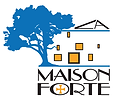 1621411364767_Capture Maison forte.PNG