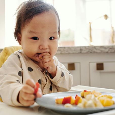 Introducción de Alimentos Sólidos Complementaria: Consejos para una Experiencia Positiva