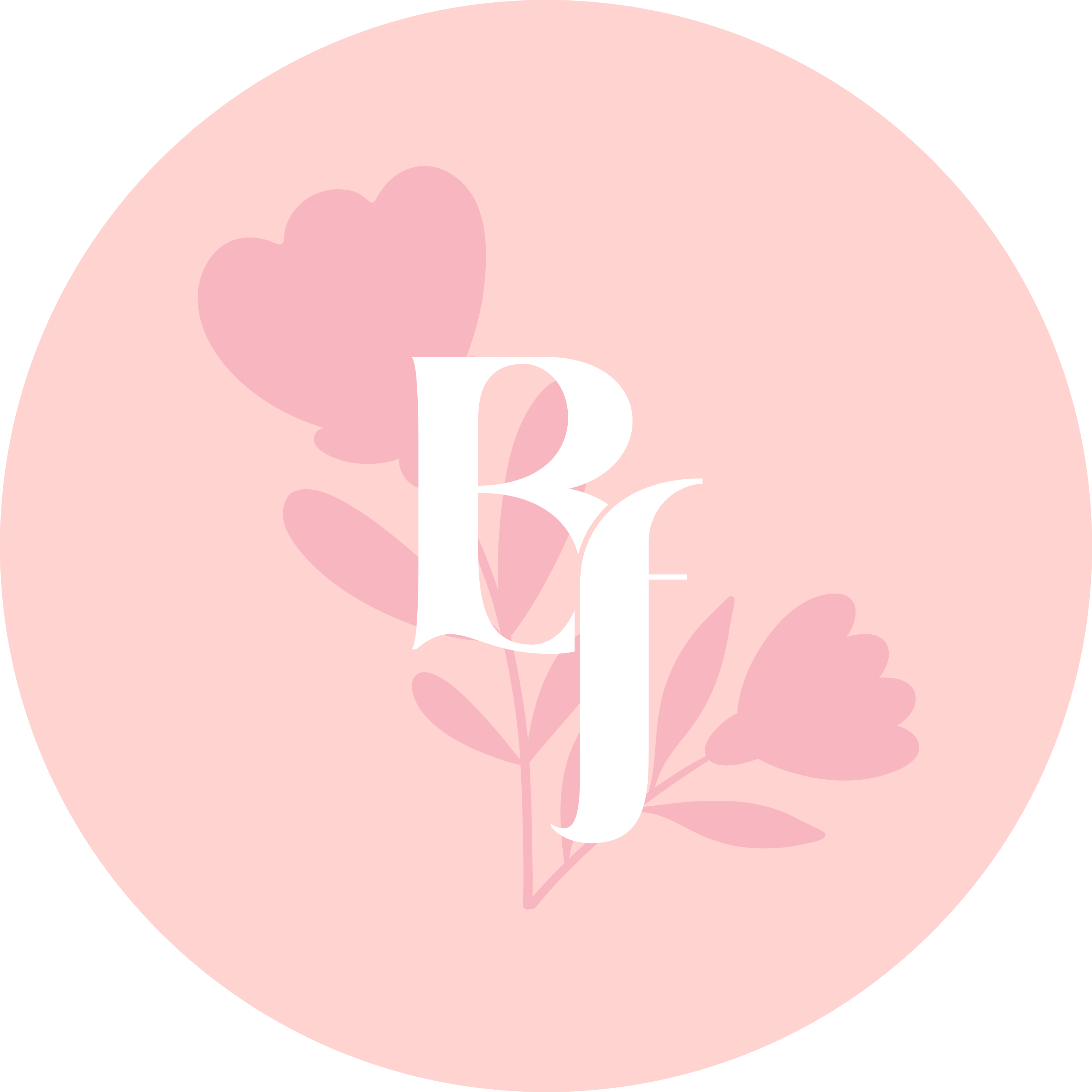 Foto del escritor: Blooming Families Team