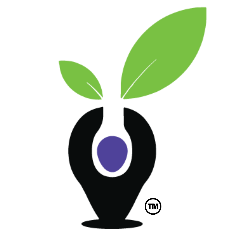 Indigo Impact Logo TM (1).png