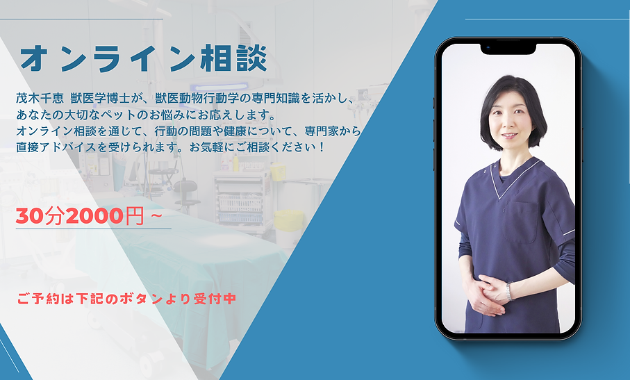 お問�合せ
