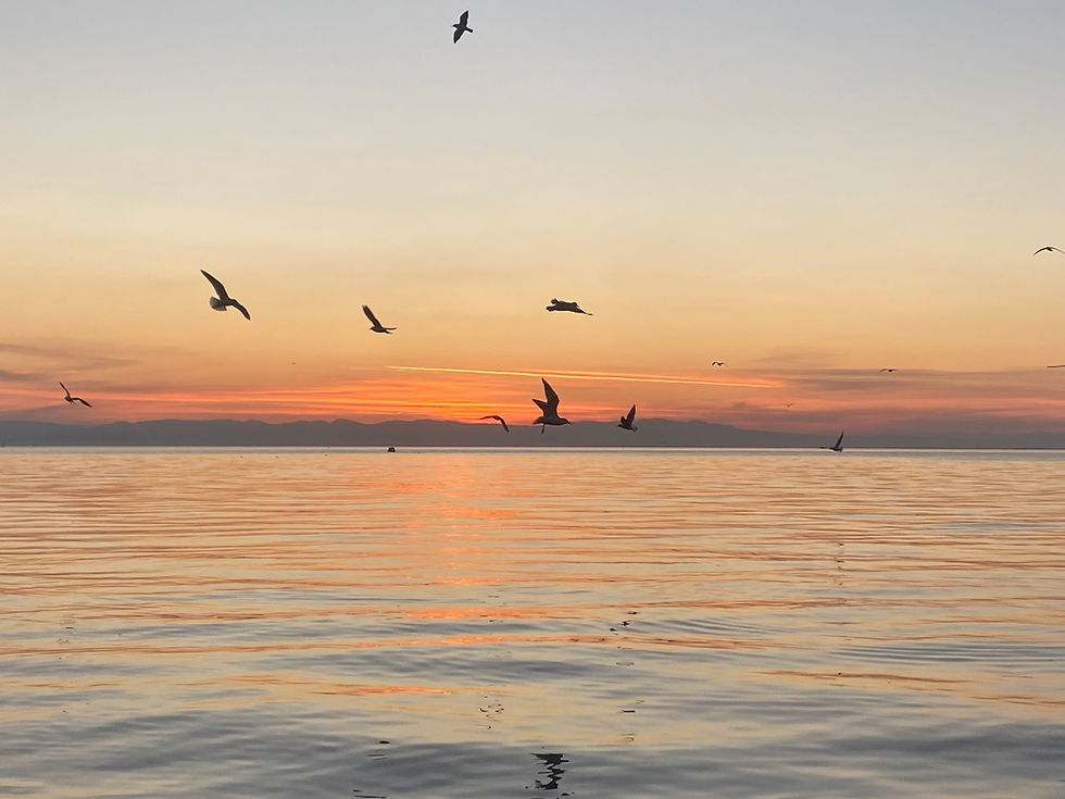 Experience Wellness: Join Breathwork Groups