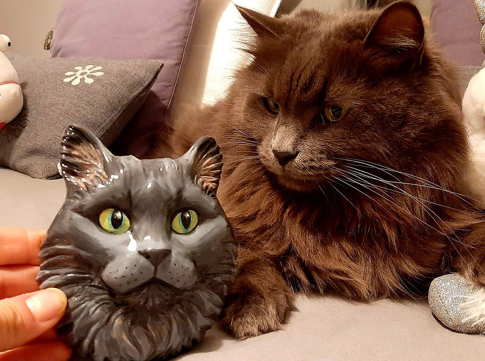 Un gatto osserva il suo ritratto in terracotta