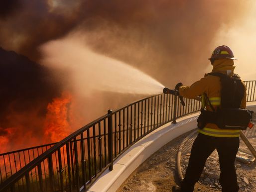 How can we prepare for and prevent the devastation of future wildfires in Los Angeles?