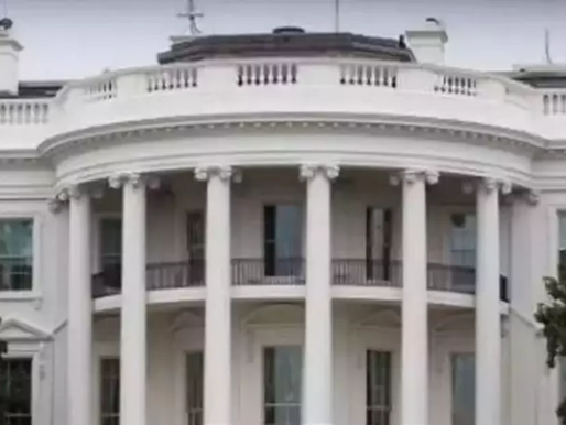 What are the repercussions of planning to attack the White House as an Indian national in the United States?