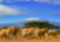 Kenya-1280x908.jpeg