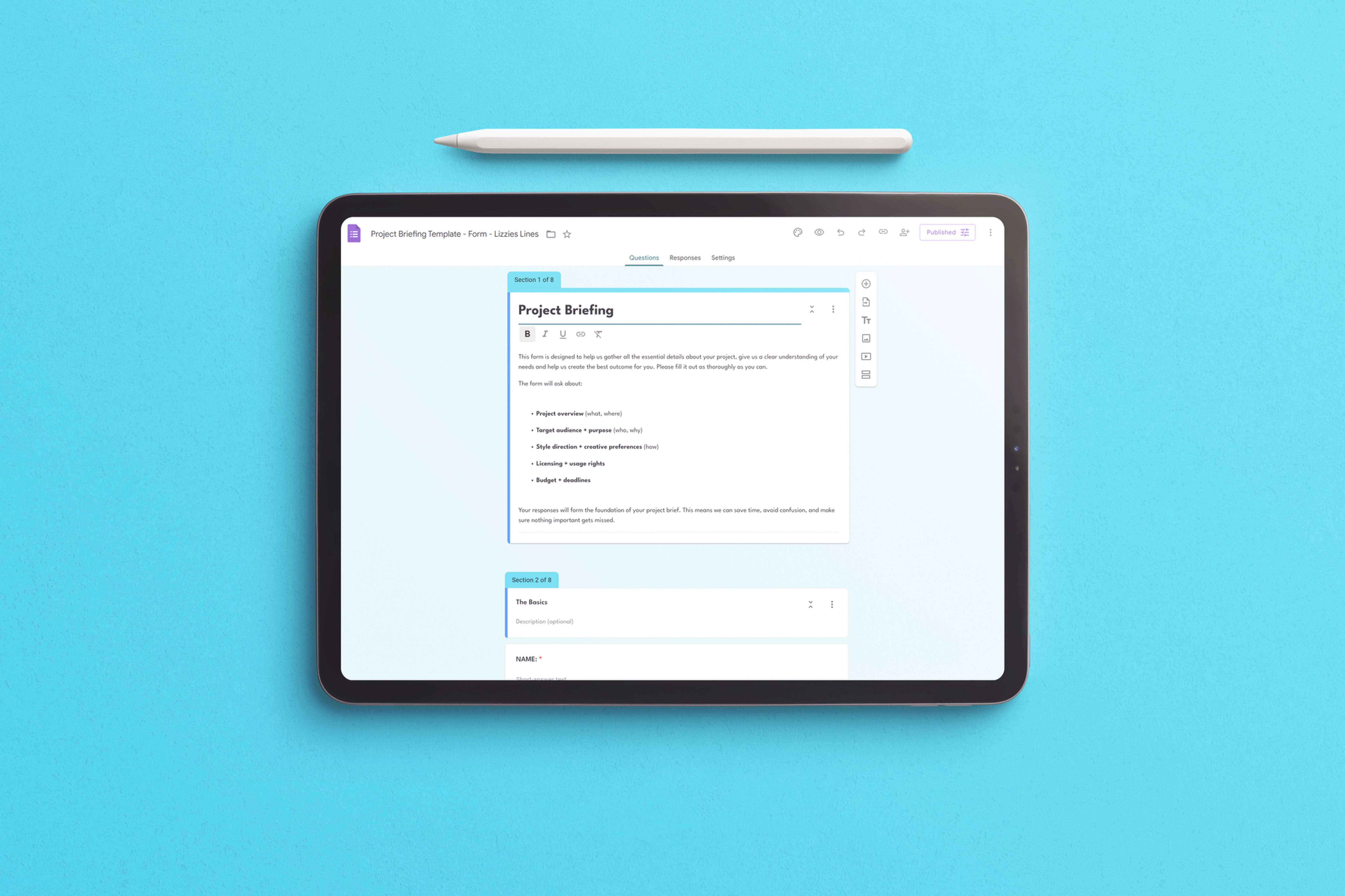 Project Briefing Bundle