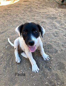 Paola