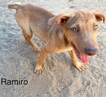 Ramiro
