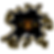 Hole Rip Tiger Eyes_NoBkgd.png