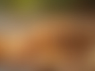 The Advantages of Adding Plant-Based Proteins to Your Diet