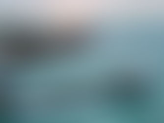 DFDS Reverses Decision, Now Allowing Pets to Stay in Cars Overnight