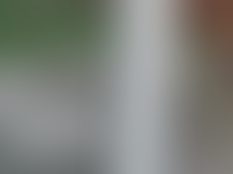 Home CCTV captures deer crashing into family home