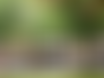 Jersey joins joint surgery register