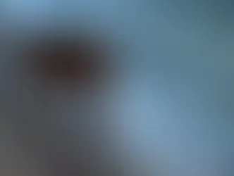 Thirteen cows rescued after being stranded at sea