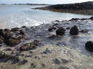 New marine project seeks to spark interest in science among young people