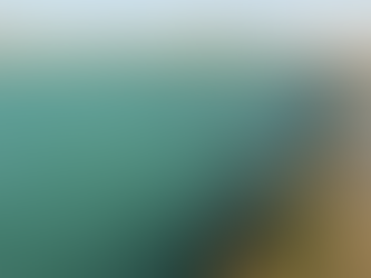 Emergency Repairs to Begin on Marine Pool