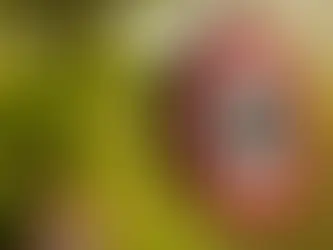 Lower Speed Limits Introduced to Boost Road Safety