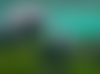 Wildlife Through the Lens: Photography on Display at Jersey Zoo