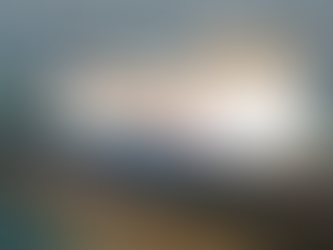 Captain of Commodore Goodwill speaks about day of L’Ecume II crash