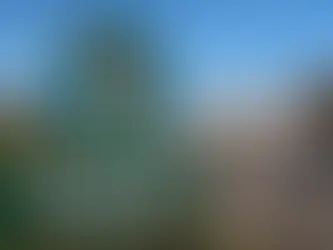 National Trust takes on 'important island landmark