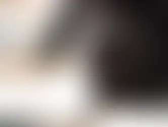 Zoo to Rehome Bats After Careful Consideration