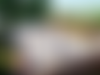 Town Skatepark Plan Proposes Transforming Reversing Bays