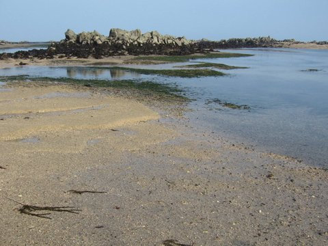 RNLI Urges Jersey Residents to Stay Safe as Hot Weather Brings Crowds to Beaches