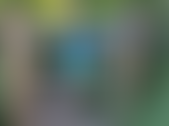 New Dog Signage Rolled Out on Jersey Pathways