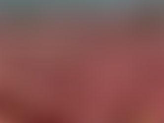 Study Highlights Island’s Rare Maerl Habitats