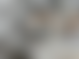 Thieves Use Cutlery to Steal Lead from School Roof