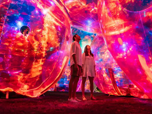 Charity Seeks Art Enthusiasts to Join Its Board