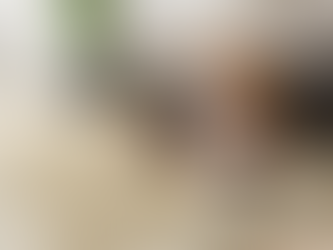 Proposed Animal Welfare Law Set for Panel Review