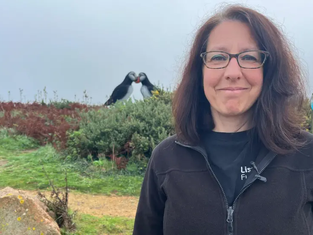 Proposed Seabird Reserve Under Consideration in Jersey