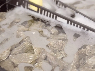 Shellfish Exporters Call for Increased Government Support