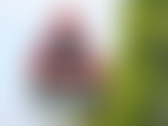 Government Buys Former Jersey Gas Site for £1 to Build New Primary School