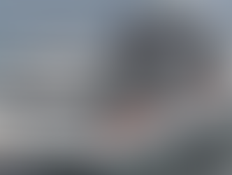 Woman dies after falling overboard from cruise ship