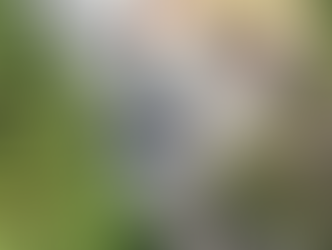 Jersey Gas Explosion, Jersey Gas, Island Energy,