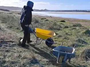 South African plant removed from strip of land