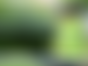 Attempted murder arrests after boy stabbed in head