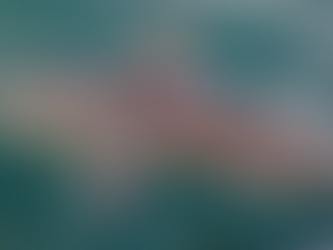 Guidelines save sharks, study reveals