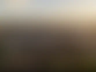 Charities to Gain Boost from Year-Long Support