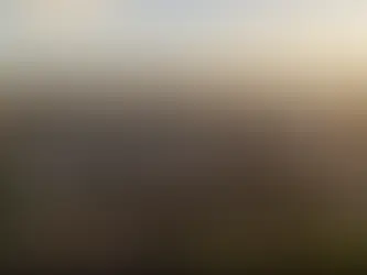 Charities to Gain Boost from Year-Long Support