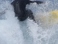 Surfer Issued Apology After False Claims