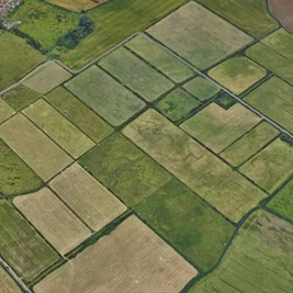 Delayed wetlands restoration to begin next summer
