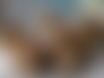 Escaped capybara forces temporary closure of zoo