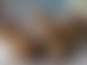 Escaped capybara forces temporary closure of zoo