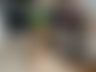 Guide Dog Charity Calls for More Volunteer Fosterers Jersey