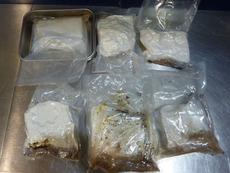 Briton, 53, Jailed for 11 Years Over £750,000 Cocaine Smuggling Plot