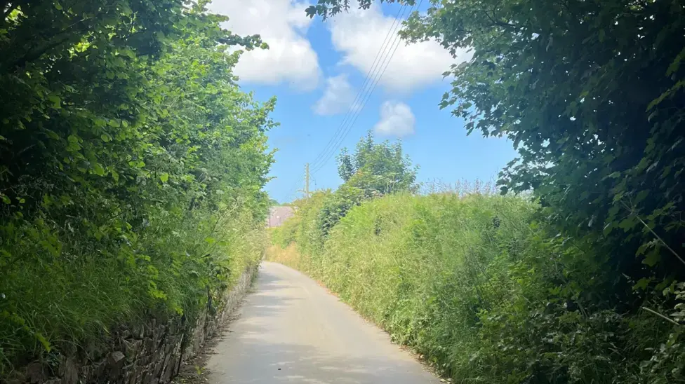 The Delicate Balance of Annual Hedge Cutting